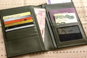 Wallet-style holder for a passport and other documents for international travel.