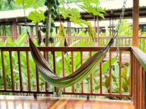 A hammock on the deck outside a Sarapaquí room.