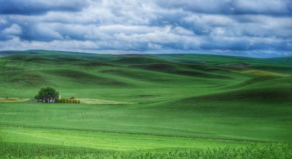 Rolling hills of vibrant green with a small farmhouse.